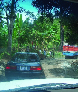 Big Suprises in the Jungle of Costa Rica