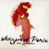 Widespread Panic: Free Somehow