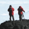 Encounters at the End of the World