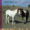 Amy Ray: <em>Didn't It Feel Kinder</em>