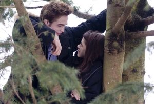 Stephenie Meyer drops <em>Twilight</em> sequel