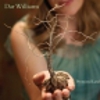 Dar Williams: <em>Promised Land</em>