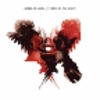 Kings of Leon: <em>Only By The Night</em>