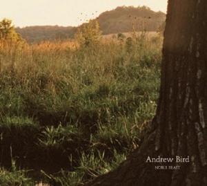Andrew Bird: <em>Noble Beast</em>