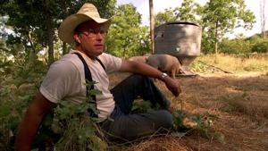 Food, Inc.