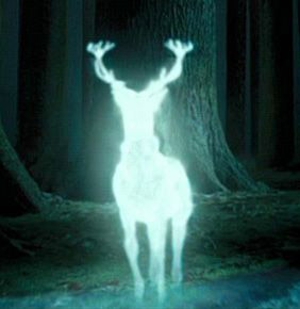 Lil Wayne is a Bullfrog: <em>Paste</em> Puts the Patronus Charm on Nine Musical Artists