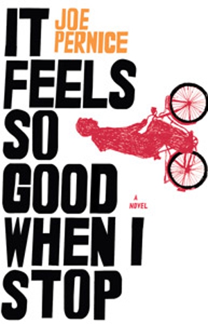 Book Excerpt: Joe Pernice's <em>It Feels So Good When I Stop</em>