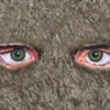 Dave Eggers' <em>Where the Wild Things Are</em> Novelization to Include Special Edition Furry Cover