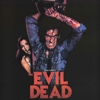 <em>Evil Dead</em> to Rise Again to Theaters in 2010
