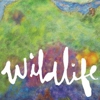 Headlights: <em>Wildlife</em>