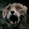 The Talking, Self-Eating Fox From <i>Antichrist</i> Has His Moment