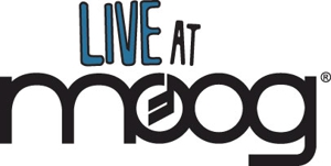 <em>Paste</em> and Moog Present "Live At Moog" Series, Featuring Yo La Tengo, Matisyahu, Many More
