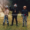 Wolf Parade: <em>Expo 86</em>