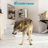 More Grinderman 2 Details Released