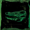 Animal Collective's Avey Tare Goes Solo