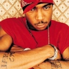 Ja Rule Readying Hip-Hop Sitcom?