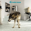 Grinderman: <em>Grinderman 2</em>