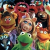 Amy Adams, Rashida Jones and Chris Cooper Added to <em>Muppet</em> Cast