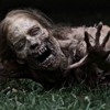 Watch Five Minutes of <em>The Walking Dead</em>