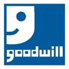 Shopper Discovers Valuable Salvador Dali Painting at Goodwill