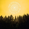The Decemberists Reveal New Album Artwork, Conan Performance