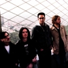 Getting to Know: Chikita Violenta