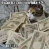 Lolcats and Fails Attract Huge Money