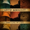David Berkeley: <i>Some Kind of Cure</i>