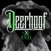 Deerhoof: <i>Deerhoof vs. Evil</i>
