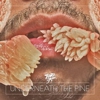 Toro y Moi: <i>Underneath The Pine</i>