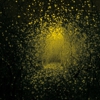 Listen to The Antlers' <em>Burst Apart</em>