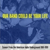 Ted Leo, St. Vincent, Wye Oak to Play Our Band Could Be Your Life Concert