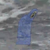 Animal Collective's Unreleased Song Clips and A Crazy Video