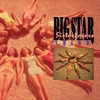 Musicians Commemorate Alex Chilton's Death With Big Star Tribute Show