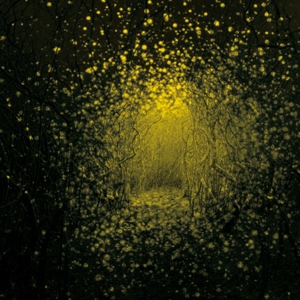The Antlers: <em>Burst Apart</em>