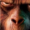 <em>Rise of the Planet of the Apes</em> Trailer Debuts