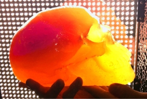 The Flaming Lips Release Four Songs Inside of Gummy Skulls