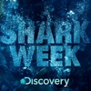Andy Samberg Signs On To Host <em>Shark Week</em>