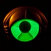 My Morning Jacket: <i>Circuital</i>