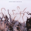 Stephin Merritt: <i>Obscurities</i>