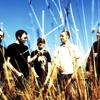 Mogwai Postpones Remaining Tour Dates