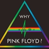 Assessing a Legacy: <i>Why Pink Floyd?</i> Reissue Series