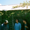 Real Estate: Classic Rock or Chillwave?