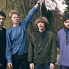 Treefight for Sunlight: Best of What's Next