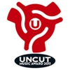 Radiohead, Fleet Foxes, Bon Iver Nominated for Uncut Music Award