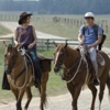 <I>The Walking Dead</I> Review: Episode 2.4 "Cherokee Rose"