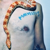 Marvelous Darlings: <i>Single Life</i>