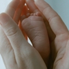 <i>Tree of Life</i>: 2011 Film of the Year