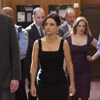 <em>Veep</em> Review: "Frozen Yoghurt" (Episode 1.02)