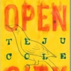 <i>Open City</i> by Teju Cole